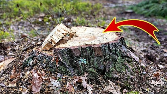 БЫСТРЫЙ и простой способ избавиться от ПНЯ за 1 минуту!