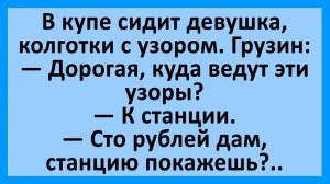 Анекдоты | В купе едут девушка и грузин... | Юмор