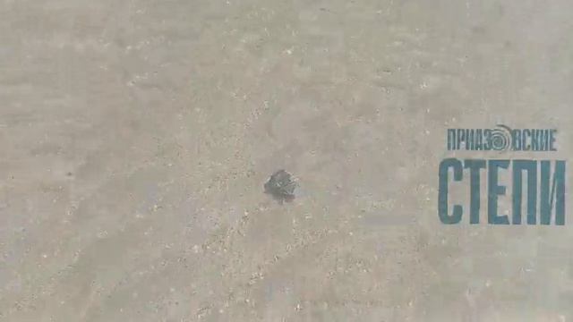 Вода в Азовском море весной кристально прозрачная