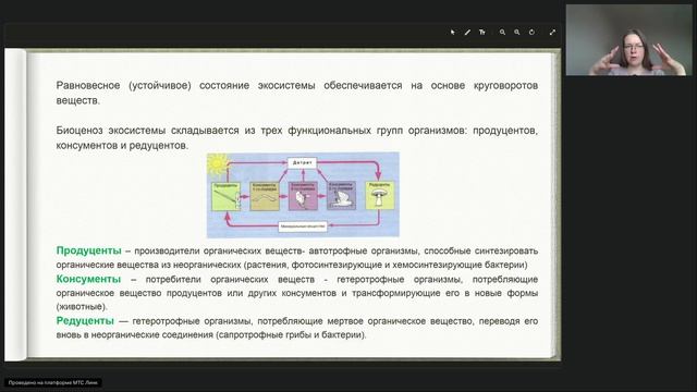 Популяция. Экосистема.