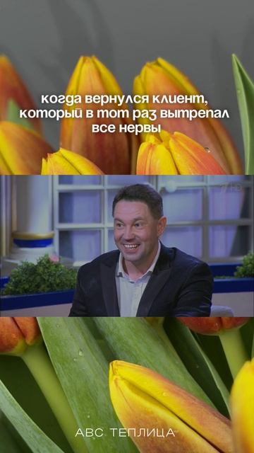 Продажа луковиц тюльпана. Тюльпаны оптом. Гидропоника для выращивания тюльпанов. Это всё у нас 