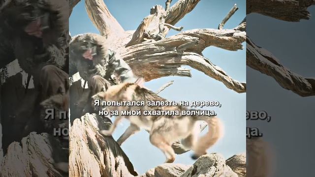 фильм на вечер