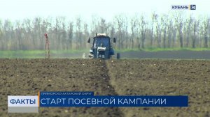 В Краснодарском крае весной планируют засеять кукурузой более 380 тыс. гектаров