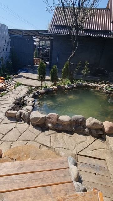 что он сделал!!