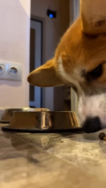 Покушать всегда на первом месте стоит