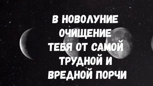 ТВОИ ПРЕДКИ ПОПРОСИЛИ ЭТУ ЧИСТКУ ДЛЯ ТЕБЯ