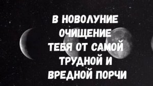 ТВОИ ПРЕДКИ ПОПРОСИЛИ ЭТУ ЧИСТКУ ДЛЯ ТЕБЯ