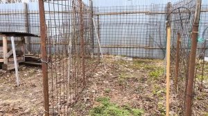 Садово-огородные работы продолжаются.