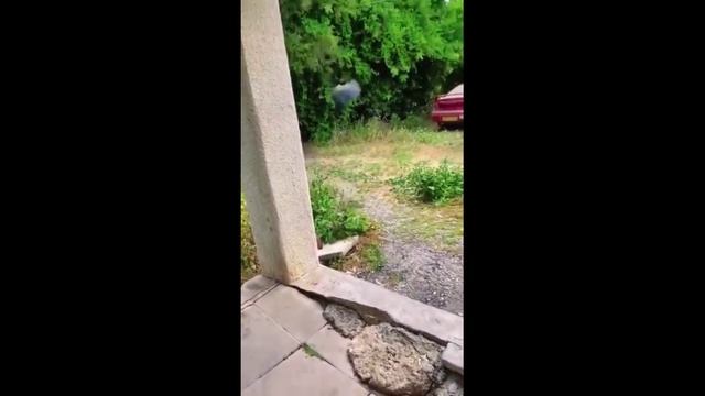 Videos Graciosos 63 - Смешные Видео 63.