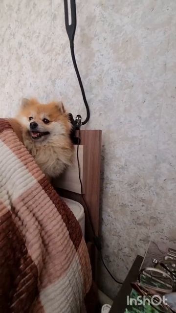 Мои детишки. Младшенькие.🥰❣️🥰