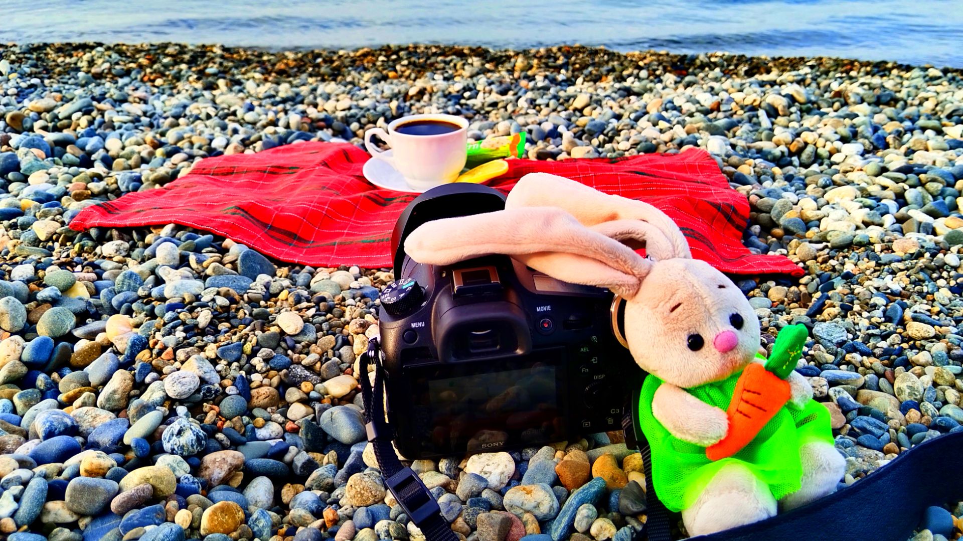 КОФЕ С ВИДОМ. ОТПУСК. АДЛЕР 2025. ФОТОДНЕВНИК ЧАСТЬ 15. СЛАЙД-ШОУ. 25 НОЯБРЯ 2025 ГОДА.