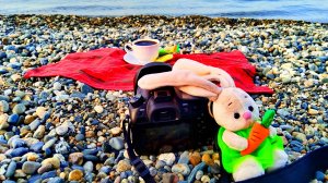 ☕КОФЕ С ВИДОМ. ОТПУСК. АДЛЕР 2025. ФОТОДНЕВНИК ЧАСТЬ 15. СЛАЙД-ШОУ. 25 НОЯБРЯ 2025 ГОДА.