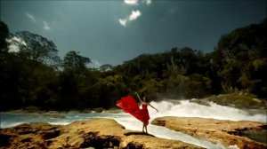 Окно в природу