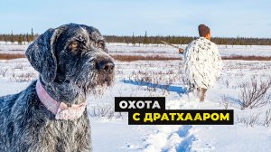ОХОТА С ДРАТХААРОМ | С ПОЛЕМ!