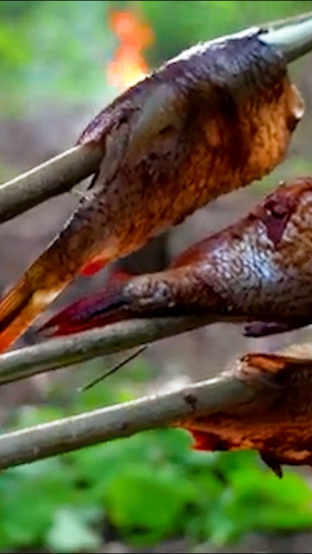 Ловлю рыбу и тут же копчу её внутри бревна