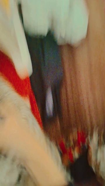 12 октября 2024 г.