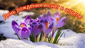 День рождения