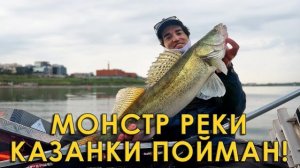 Вот это поклёвка, его не сдвинуть! Такая рыба клюёт в центре Казани.