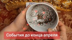 🏵️💗🥰💐🪷🪷🌺🌸🌺