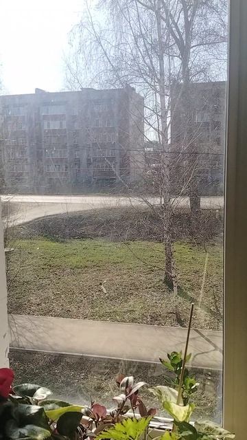 Погода 17.04.2026