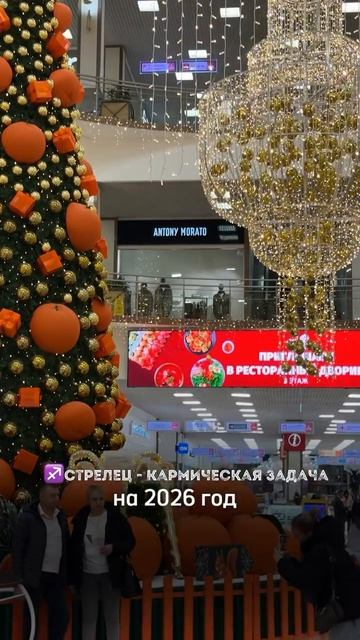 Стрелец - кармическая задача в 2026