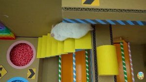 Хомячок убегает из ловушки голодных акул в водном лабиринте! часть 13