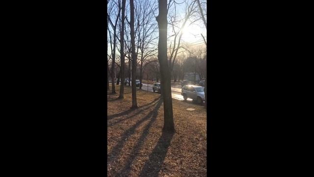 Вода со стадиона 