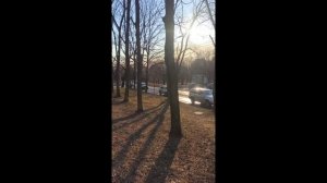 Вода со стадиона "Динамо" затопила Уссурийский бульвар