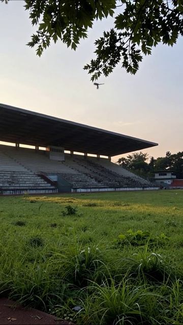 Стадион на закате: тишина и зелень #стадион #природа #закат