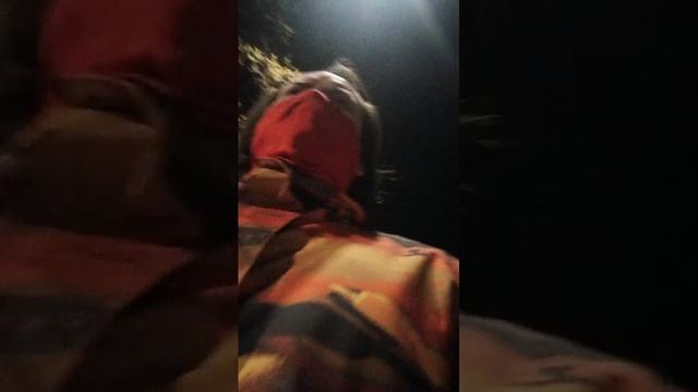 Мы идём гулять с собакой! | 17-апр-2026 2