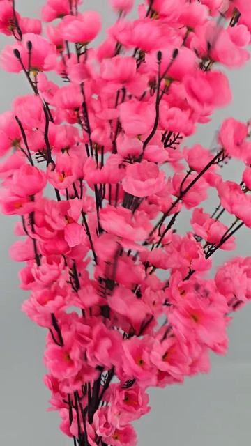 Сакура гигант розовая и фуксия