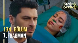 «Клюквенный щербет» 134 серия, обзор