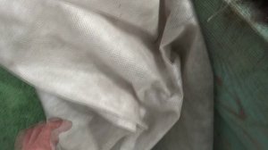 Как я делаю ТОННЕЛИ для томатов, высаженных в открытый грунт в ранние сроки. 15 апреля 2025.