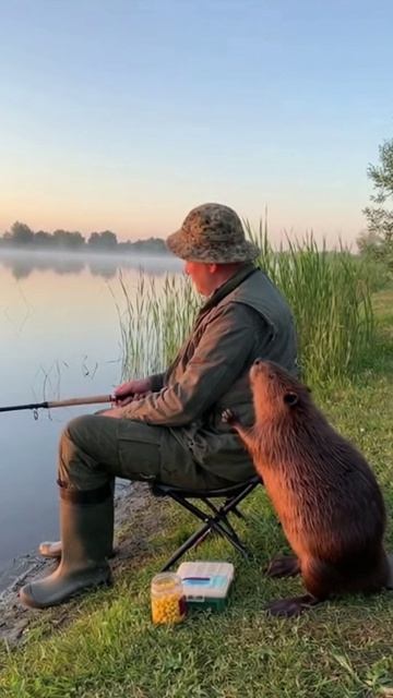 НА РЫБАЛКУ нейросеть