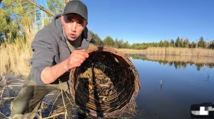 ОГО! Сколько ВЬЮНОВ! Ловлю руками и ловушками на болоте 24 часа