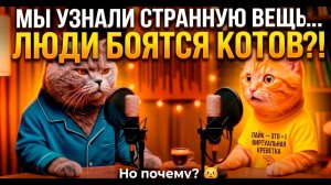 😿 Мы узнали, что некоторые люди боятся котов…