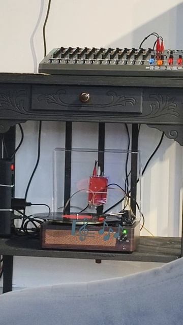 винила вам 🎶🌞🎼✨