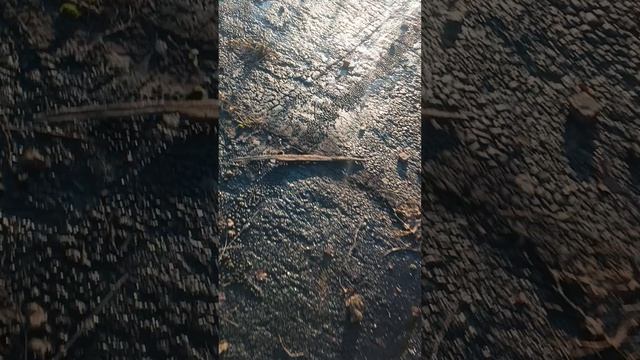 заброшка зтс