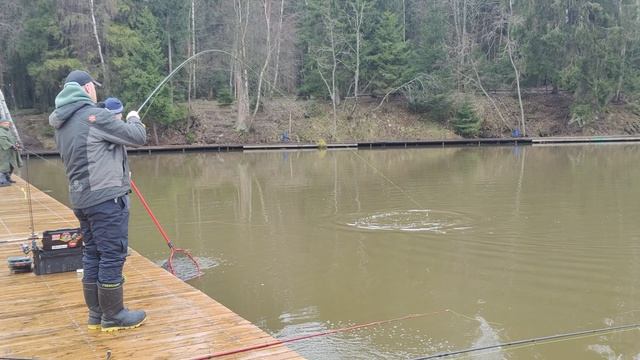 поимка форели