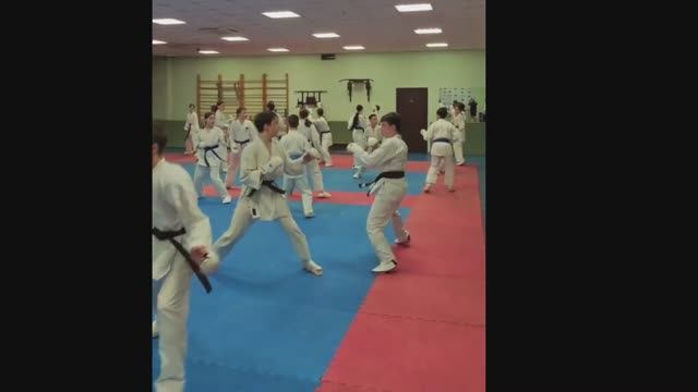 Тренировки по карате. ВЛОГ Алексея и Ксюхи