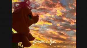 LPS: красивые фото мои которые вы можете брать