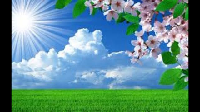 🔴ЖПИР НЕ ЕСТ НЕ СПИТ ИЗ-ЗА КОММЕНТАРИЕВ И ОБЗОРОВ ПОДКАСТ ОБЗОР НА КАНАЛ ЖЕНЩИНА ПО ИМЕНИ РИММА