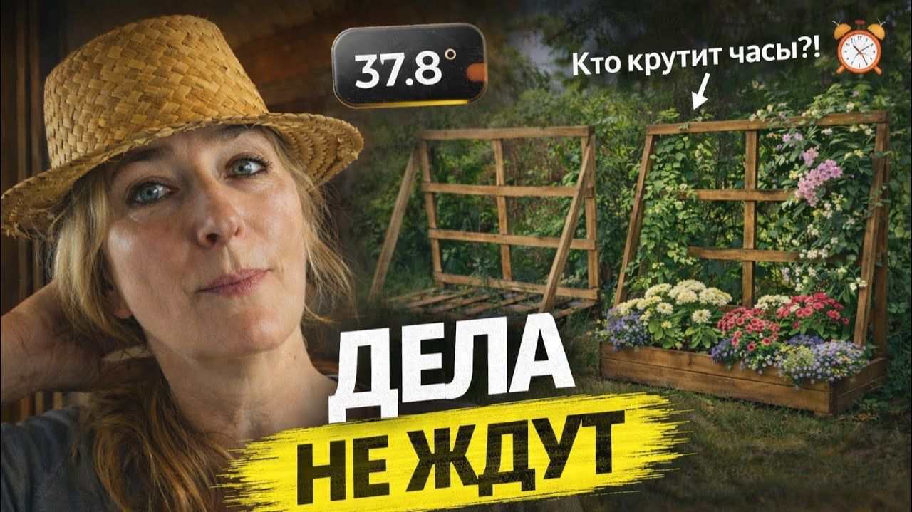 Я болею… а дела размножаются 😅 Французские будни