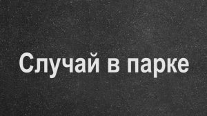 Случай в парке