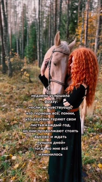 #врекомендации