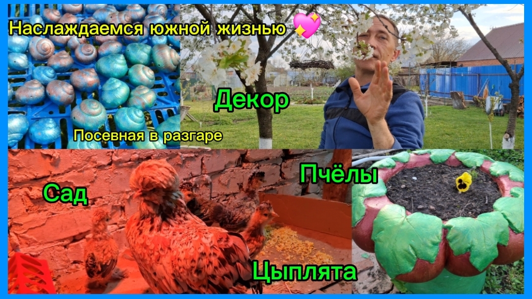 17-04-2026 Мечты сбываются/Наслаждаемся южной жизнью/Посевная/Прополка/Декор для сада/Пчелы//