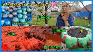 17-04-2026 Мечты сбываются/Наслаждаемся южной жизнью/Посевная/Прополка/Декор для сада/Пчелы//