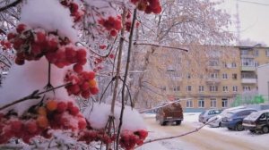 Плакала рябина по утру....