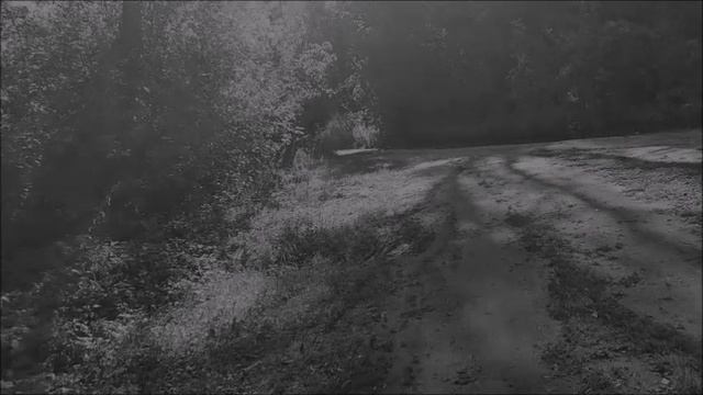 Стоять под дождём - С.А. Стихи мои музыка голос ИИ