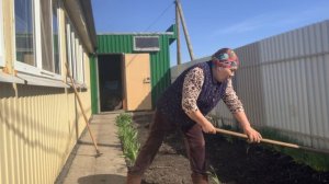 Навожу порядок при домовой участке.